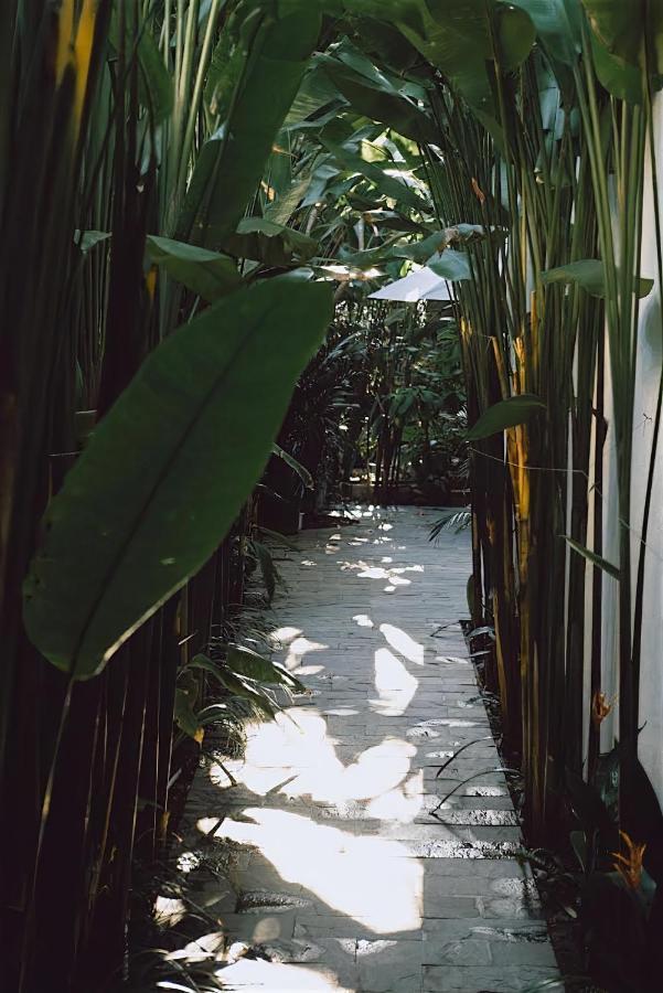 Tropical Home Villa Hội An Extérieur photo